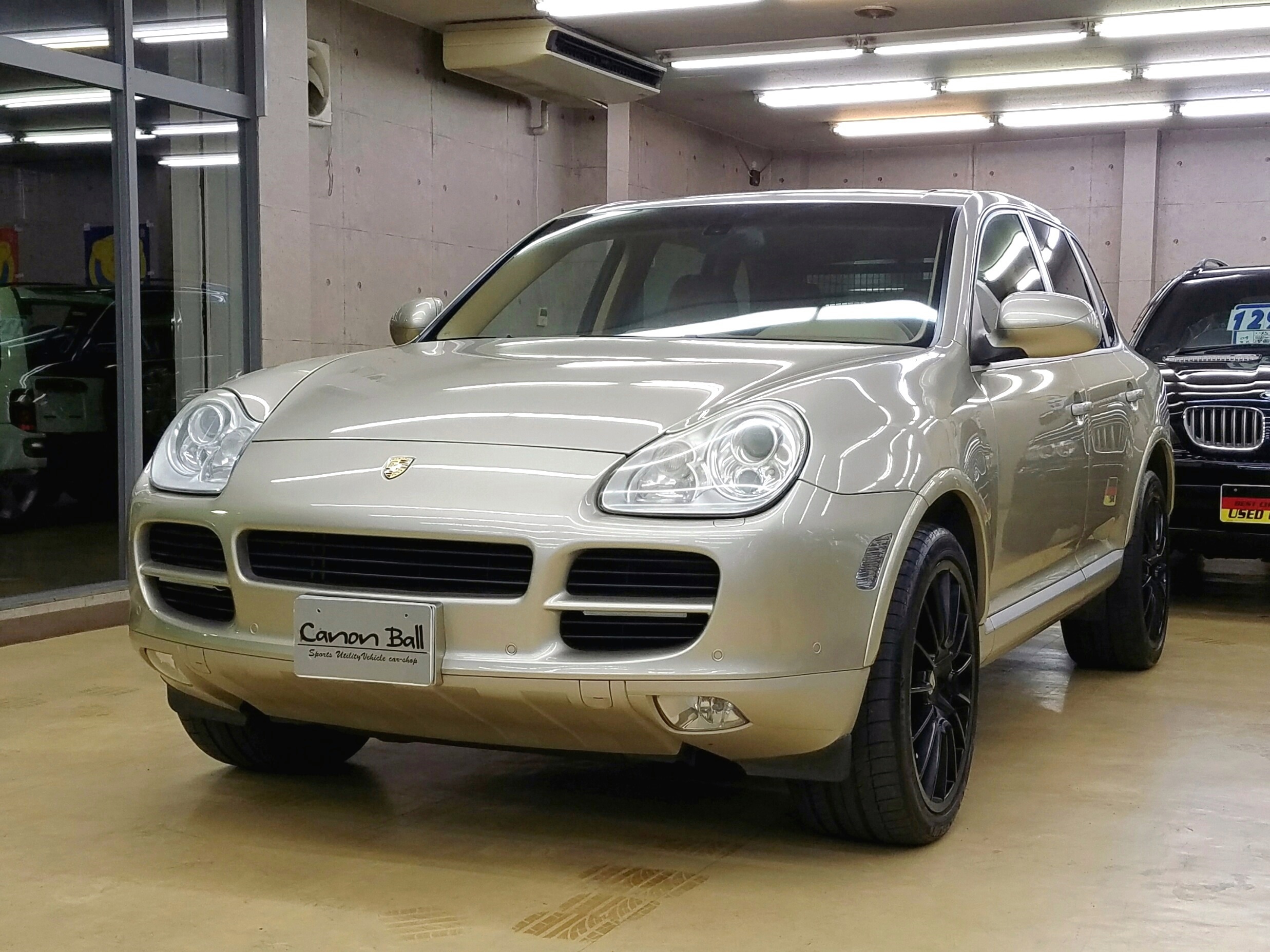 �|���V�F �J�C�G���̃C���[�W�摜�ł�